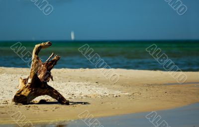 Baltick Sea