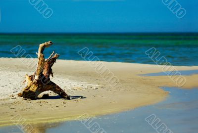 Baltick Sea