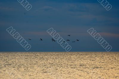 Baltick Sea