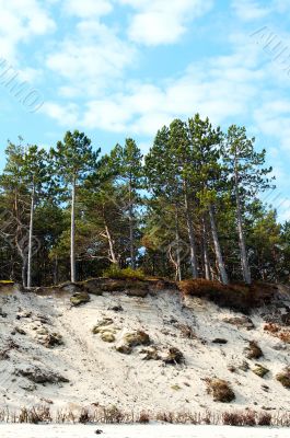 Baltick Sea