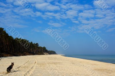 Baltick Sea