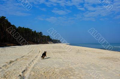 Baltick Sea