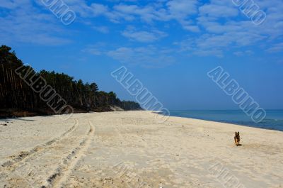 Baltick Sea