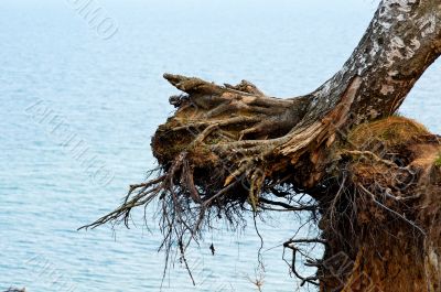 Baltick Sea