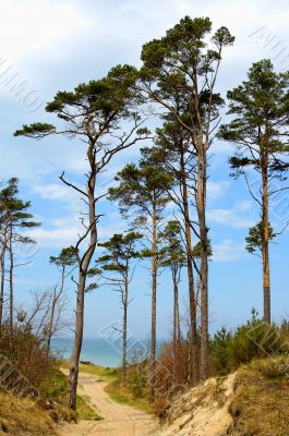 Baltick Sea