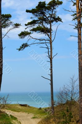 Baltick Sea