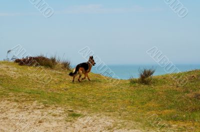 Baltick Sea