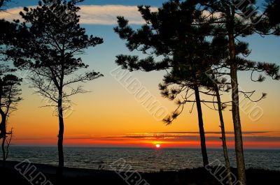 sunset
