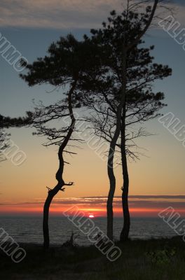 sunset