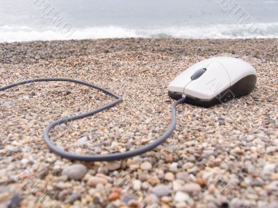 The computer mouse on a sea coast The computer mouse on a sea coast
