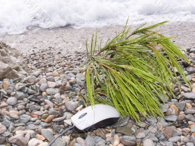The computer mouse on a resort