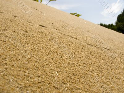 Sandy dunes