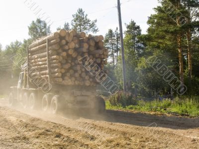 The timber carrying vessel