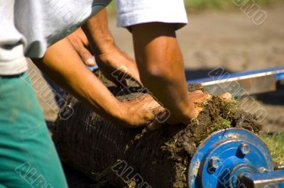 Man working at the soil