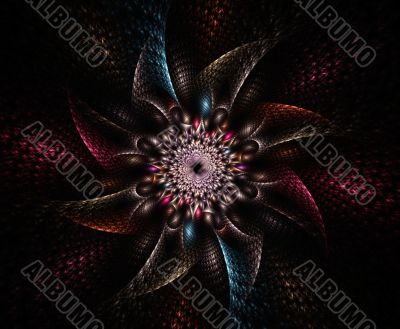 Pattern Star Fractal Pattern Star Fractal