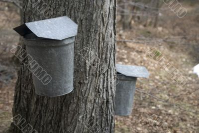 Vermont Maple Sugaring