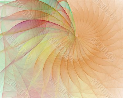 Cream Shell Spiral
