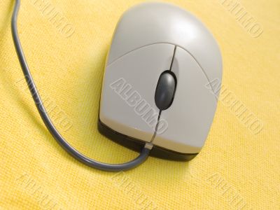 The computer mouse