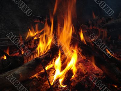 Flaming wooden coal logs of camping fireplace