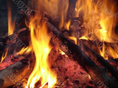 Flaming wooden coal logs of camping fireplace