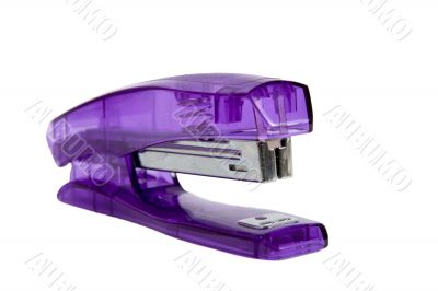 Office stapler close up on a white background