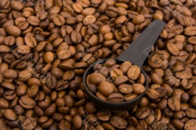 Roasted grains of fragrant black coffee