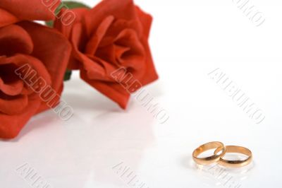 Two wedding rings and red rose at the background