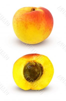 fresh apricot with cut
