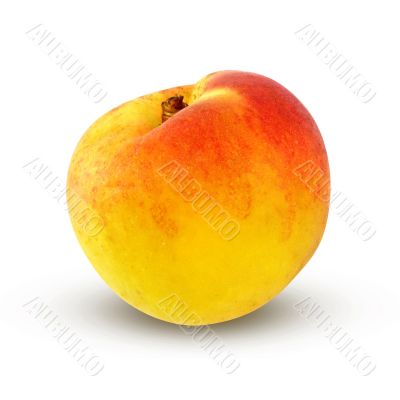 fresh apricot