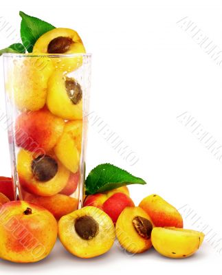 apricots in the glass