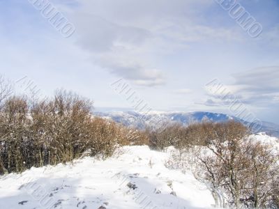 Quiet morning winter mountain landscape
