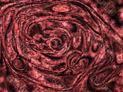Abstract biological pattern Abstract biological pattern