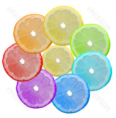 Seven-flower Seven-flower