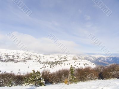 Quiet morning winter mountain landscape