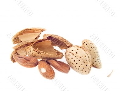 Almond nuts in a shell
