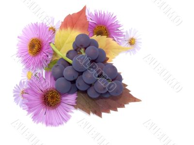 Autumn still-life Autumn still-life