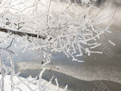 hoarfrost hoarfrost