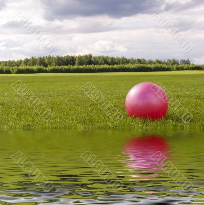 Green lawn and a ball Green lawn and a ball