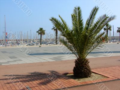 Quay `Port Olimpik`.Barcelona