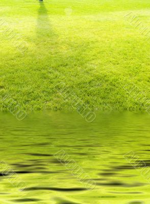 Lawn and pond Lawn and pond