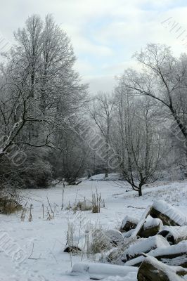 Winter scene Winter scene