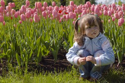 Dreaming in tulips Dreaming in tulips