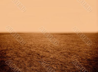 Field of Nothingness