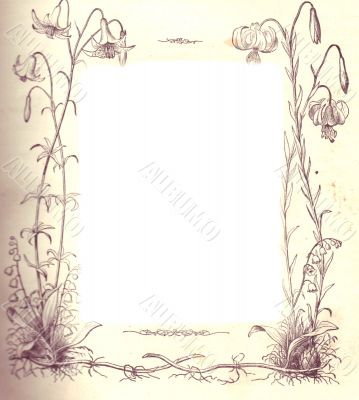 Halloween background