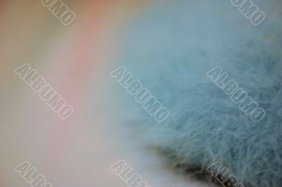 Blue angora fur