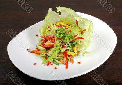 Italian vegetable salad `Iceberg`