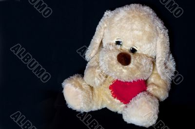 Toy Puppy with heart Toy Puppy with heart