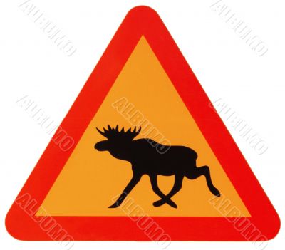 attention elk