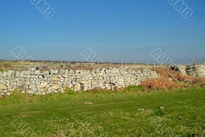 landscape landscape