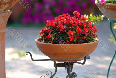  flowerpot